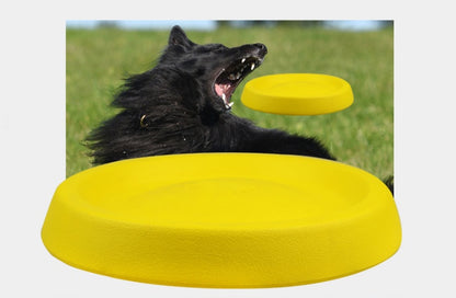 Pet Dogs Throwing Plastic Toys - Pet Store