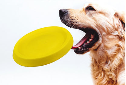 Pet Dogs Throwing Plastic Toys - Pet Store