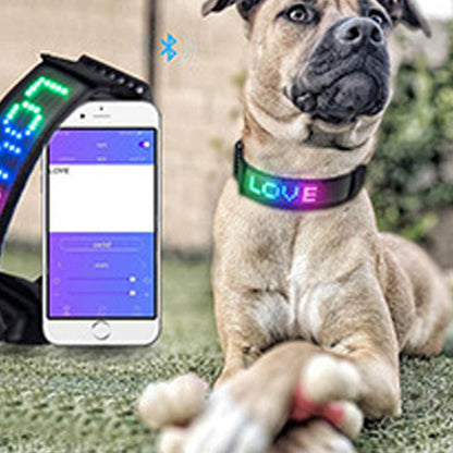 LED Bluetooth USB Charging Pet Collar - Pet Store