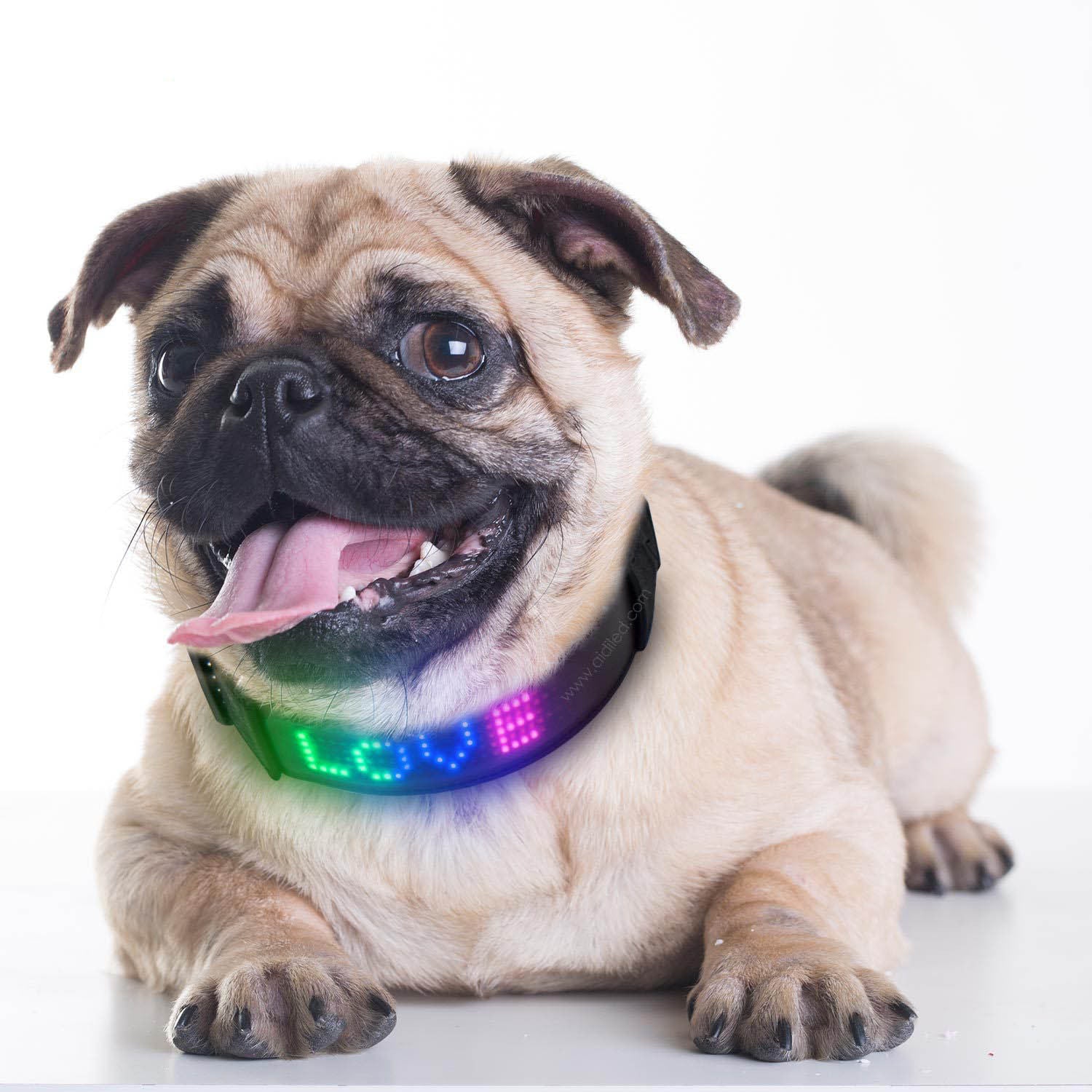 LED Bluetooth USB Charging Pet Collar - Pet Store