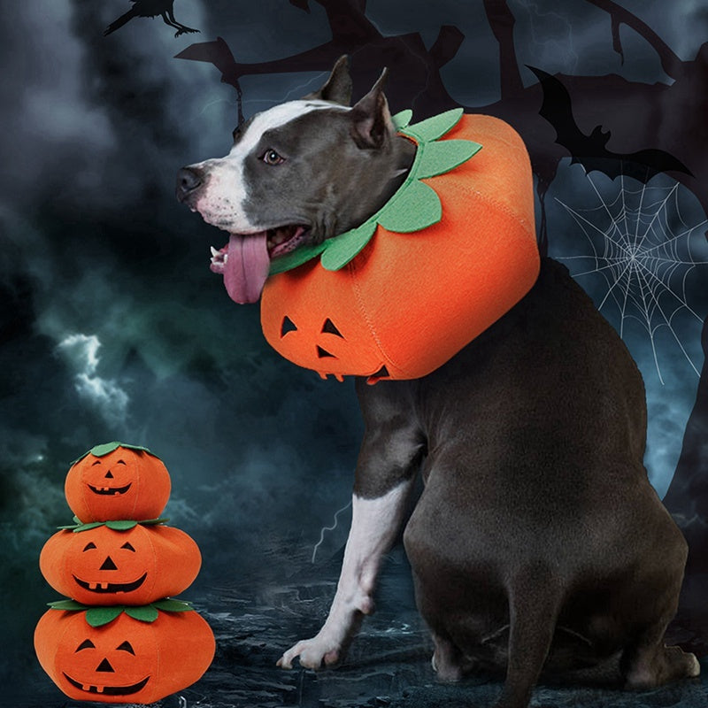 Pet Halloween Pumpkin Collars Cute Pet Cosplay Accessories - Pet Store