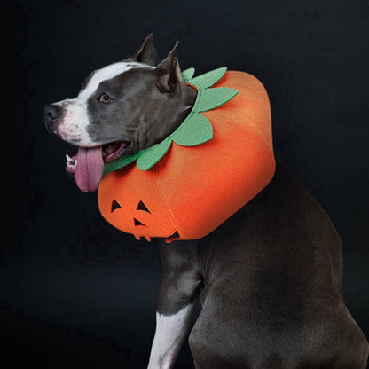 Pet Halloween Pumpkin Collars Cute Pet Cosplay Accessories - Pet Store