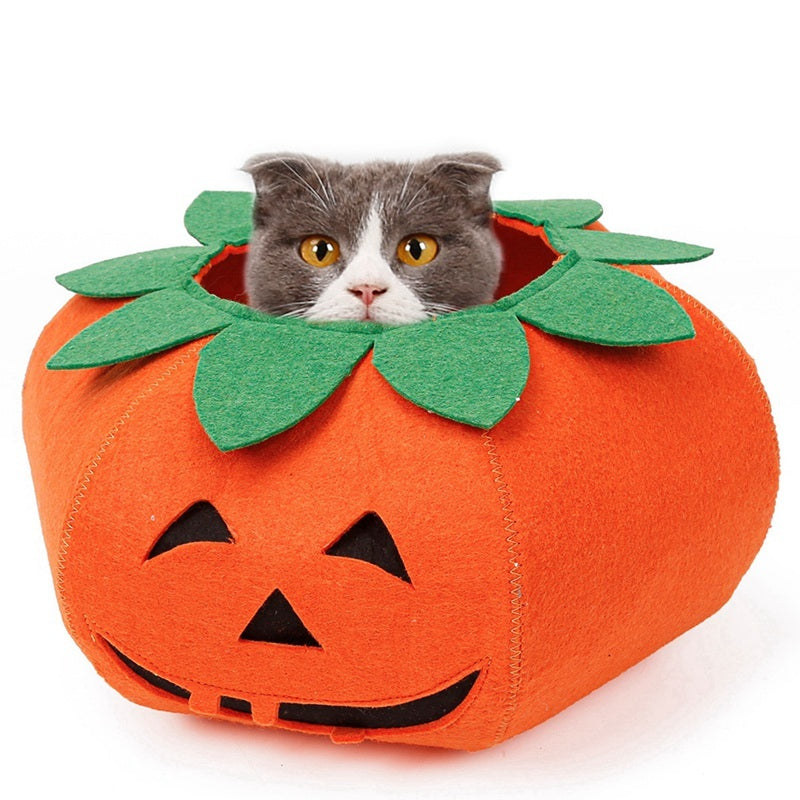 Pet Halloween Pumpkin Collars Cute Pet Cosplay Accessories - Pet Store