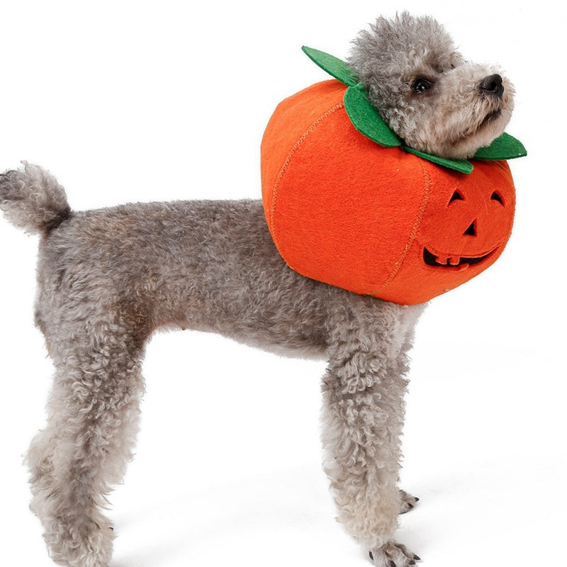 Pet Halloween Pumpkin Collars Cute Pet Cosplay Accessories - Pet Store