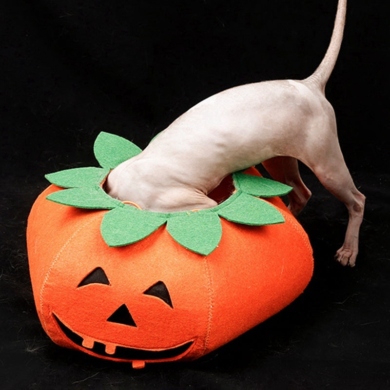 Pet Halloween Pumpkin Collars Cute Pet Cosplay Accessories - Pet Store