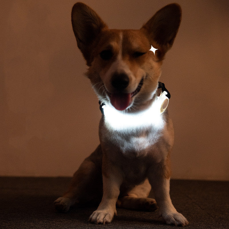 Pet Supplies LED Lead Rope Light Collar - Pet Store