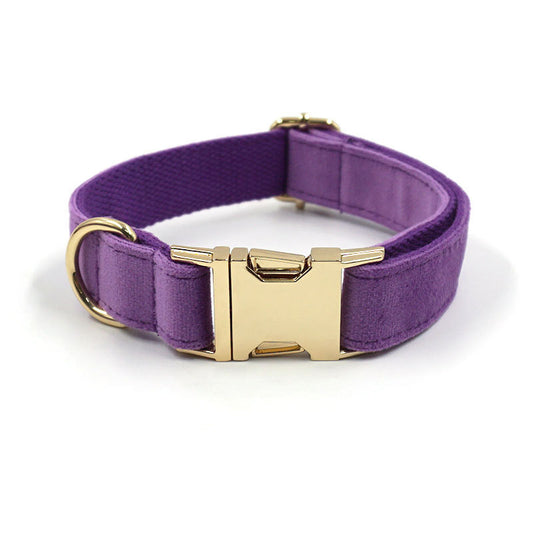 Deep Purple Velvet Gold Buckle Lettering Pet Collar Dog Go Out Collar - Pet Store