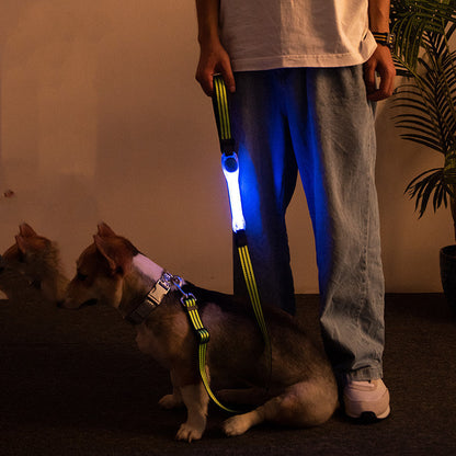 Pet Supplies LED Lead Rope Light Collar - Pet Store